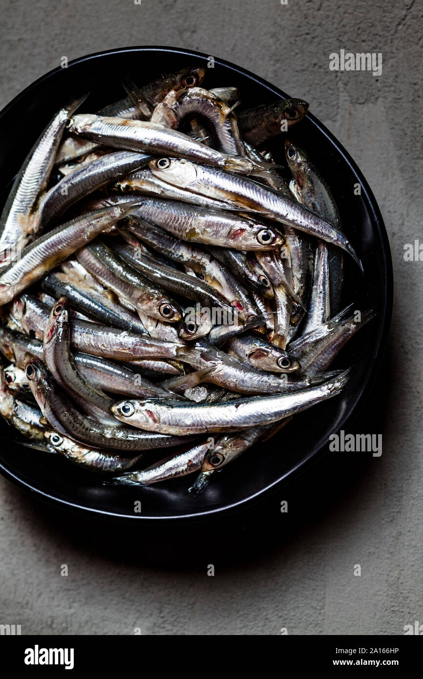 Directly above view of fresh anchovies in bowl on concrete Stock Photo