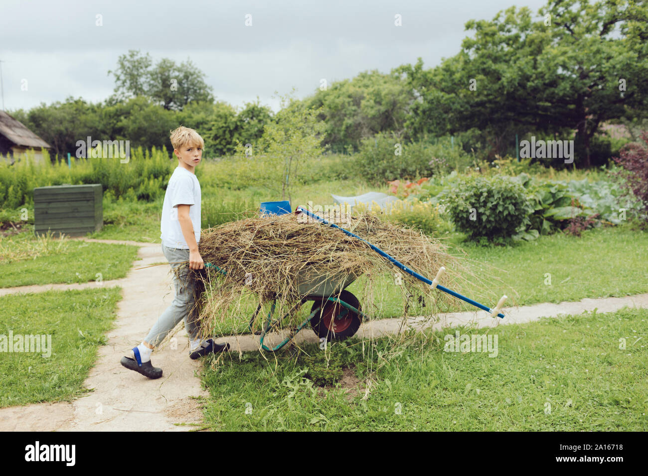 Boy pushing wheelbarrow in garden Stock Photo - Alamy