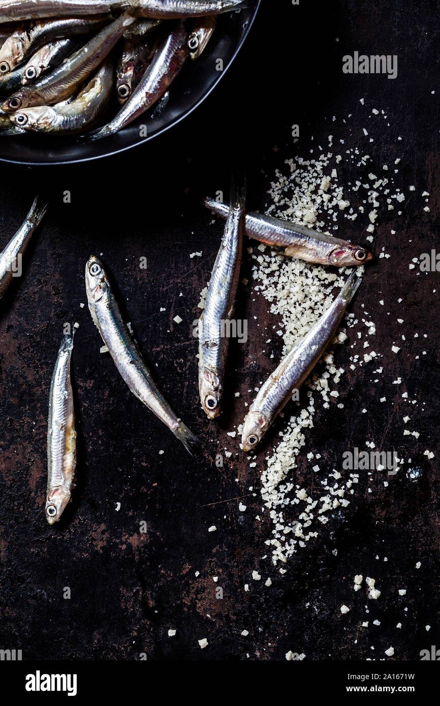 Directly above view of fresh anchovies and sea salt on slate rock Stock Photo