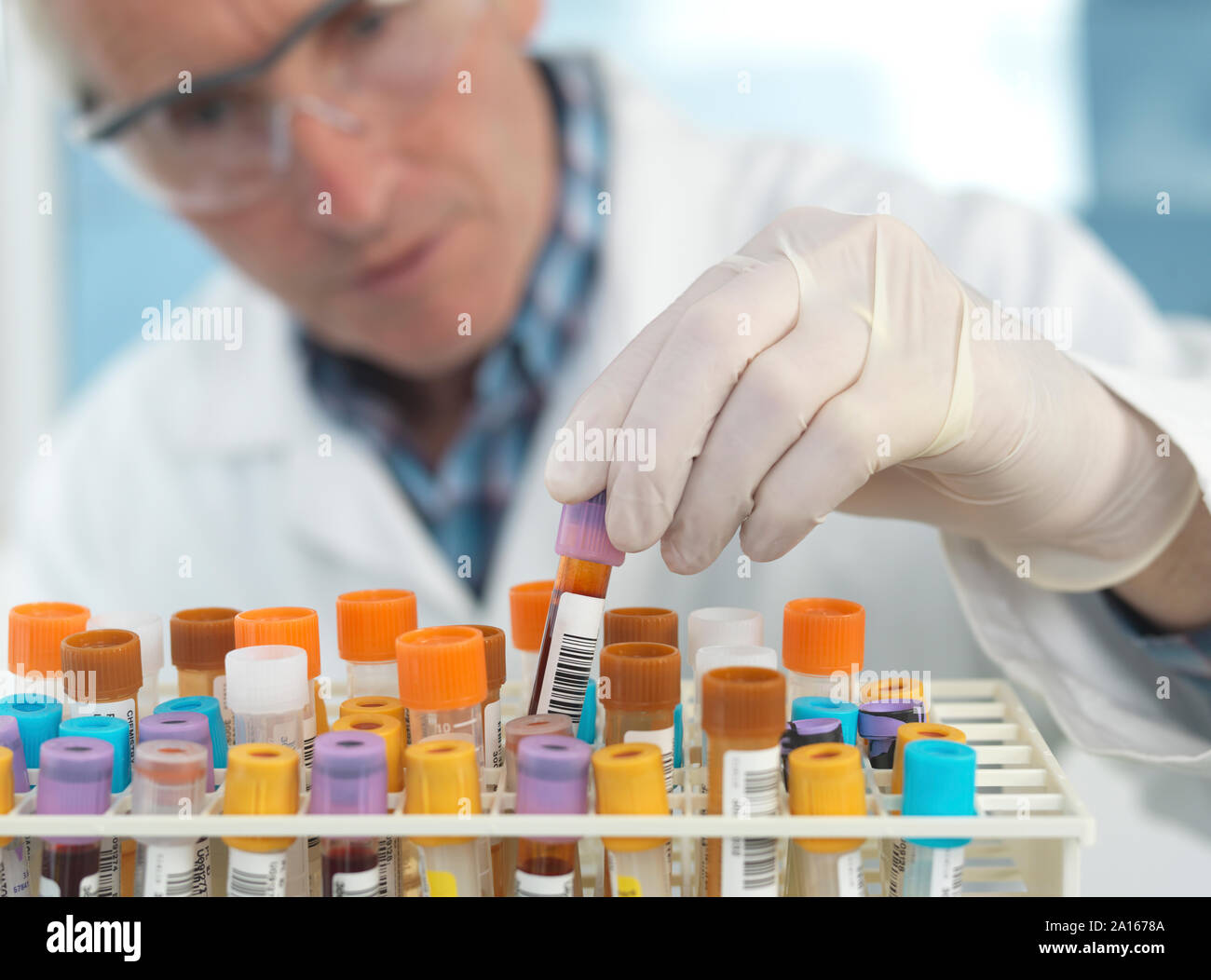 Medical technican checking blood samples in lab Stock Photo