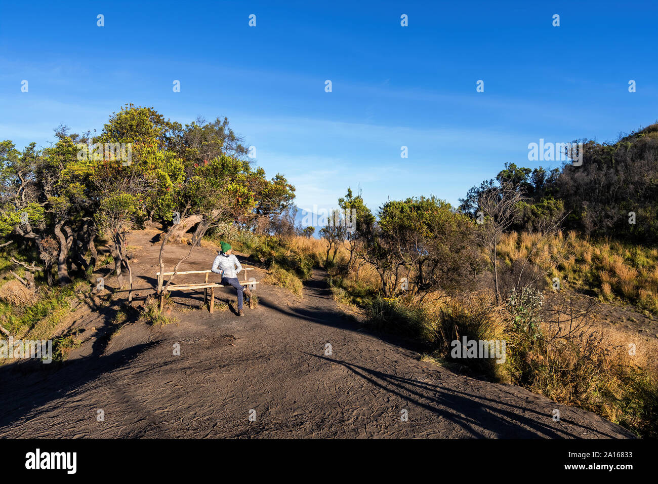 Travel concept of a journey to Bromo mountain in Indonesia, well knowd for landscape beauty and active volcanoes. An Asian male tourist standing relax Stock Photo