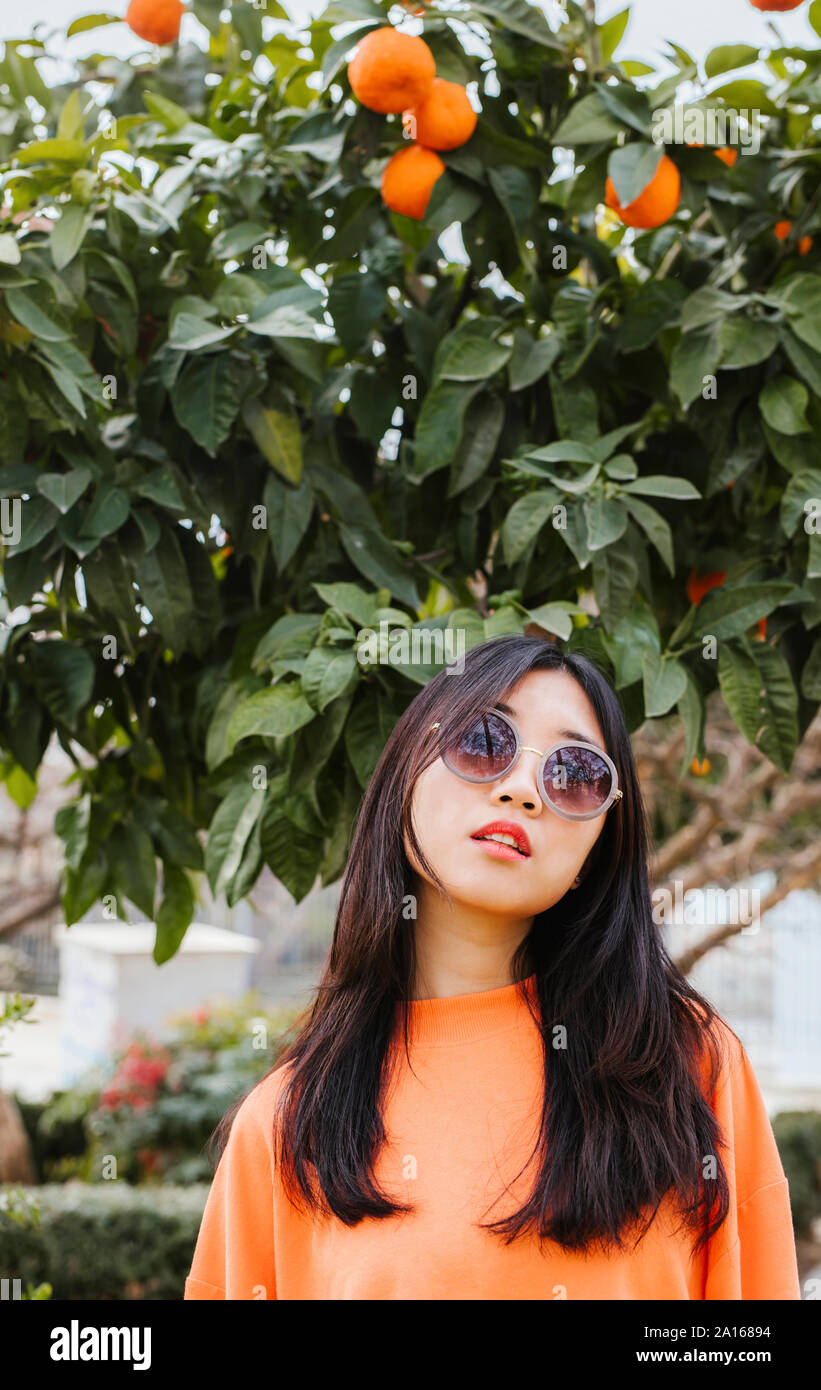 Tangerine tree hi-res stock photography and images - Alamy