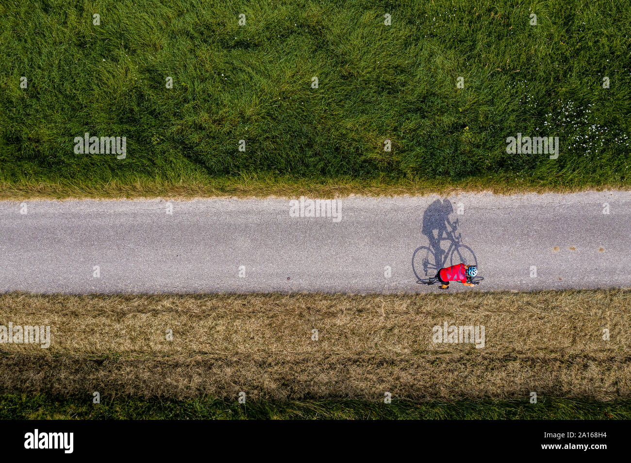 Triathlete riding bicycle on country road, Germany Stock Photo