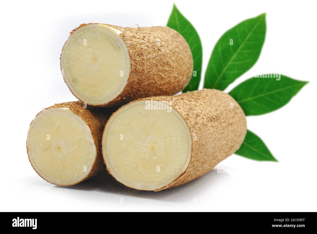 Fresh cassava root isolated on white background Stock Photo Alamy
