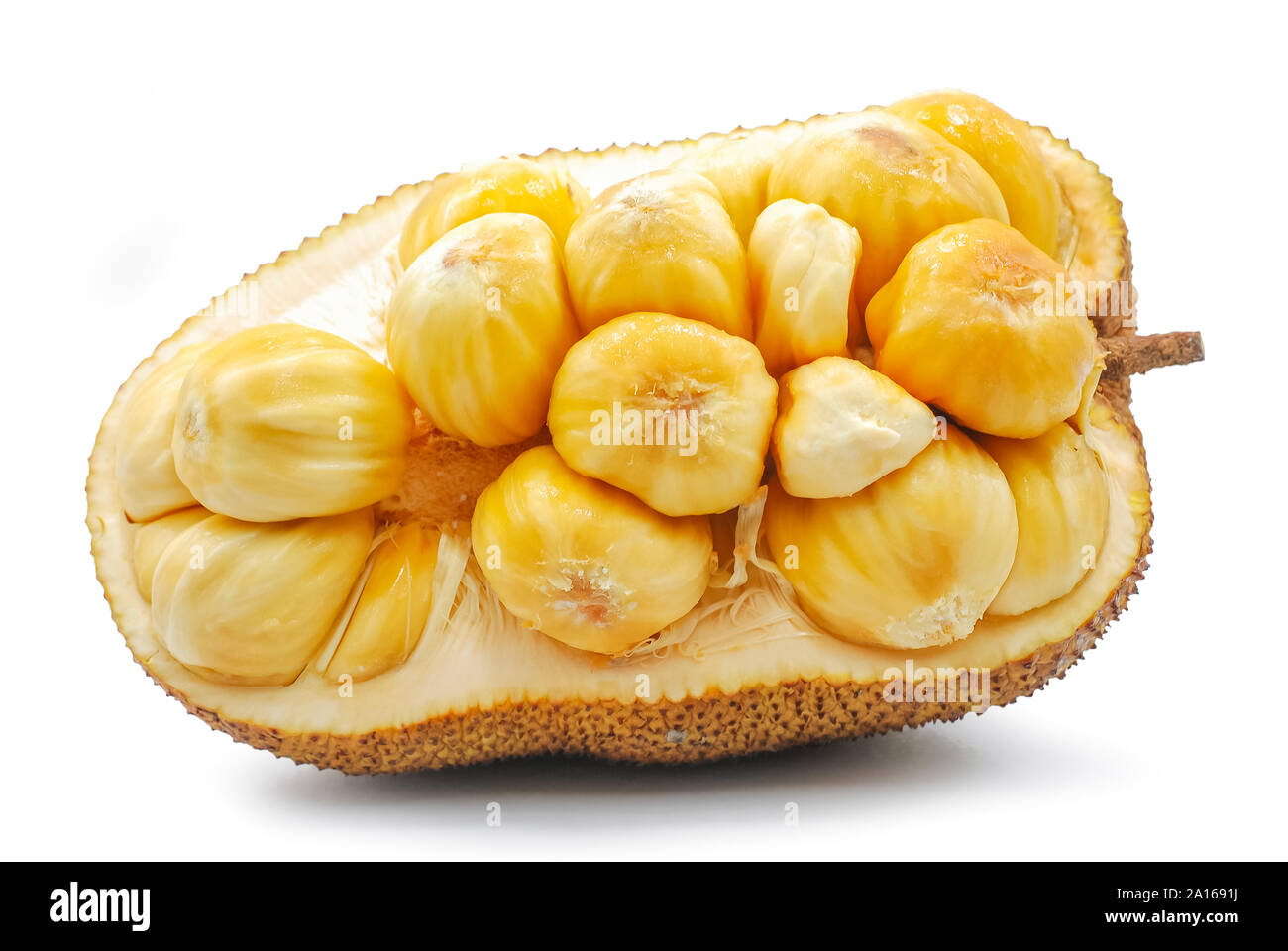 Fresh jackfruit isolated on white background Stock Photo
