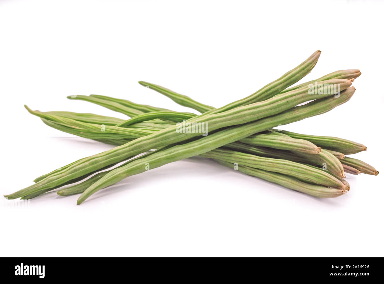 Moringa oleifera tree hi-res stock photography and images - Alamy