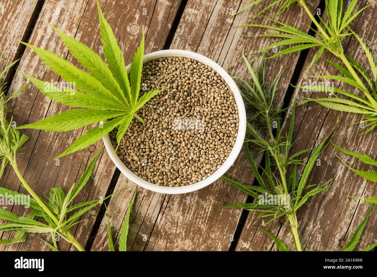 Hemp leaves and seeds from above on wooden background Stock Photo