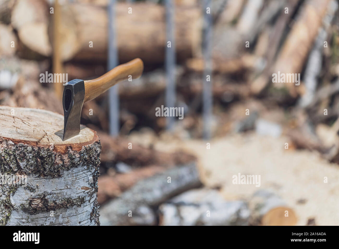 Axe in a tree trunk Stock Photo