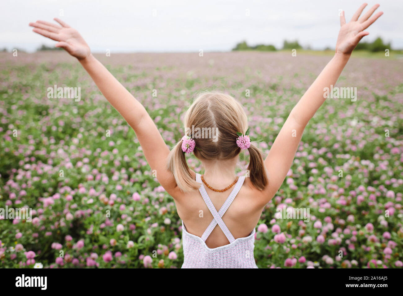 Rear view of girl with ponytails with clover flowers Stock Photo