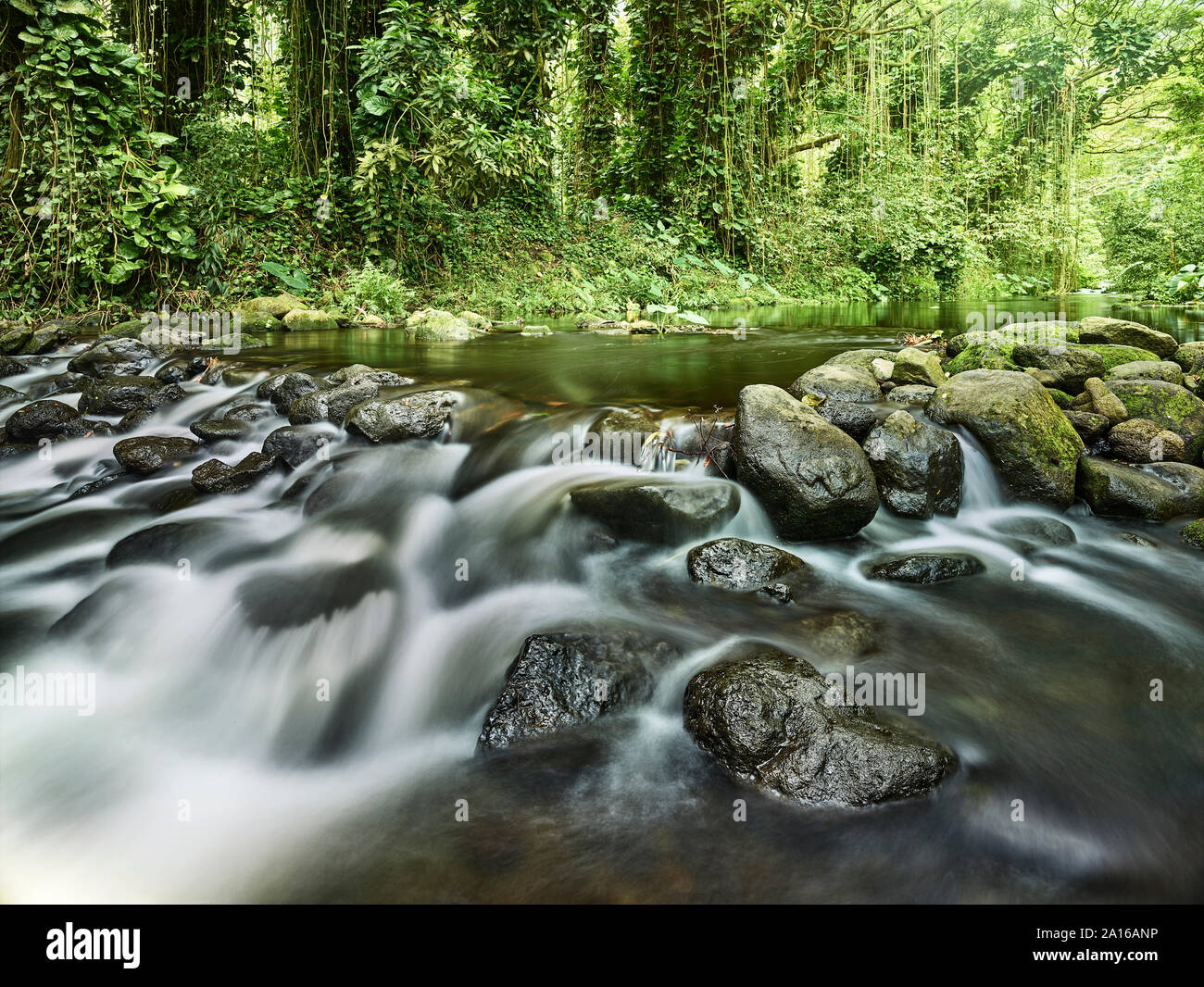 Stream flowing through rocks in rainforest at Waipio Valley Stock Photo