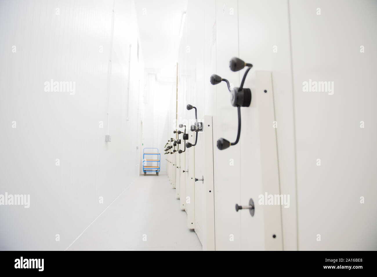 The newly opened state of the art seed biobank cold storage facility at ...