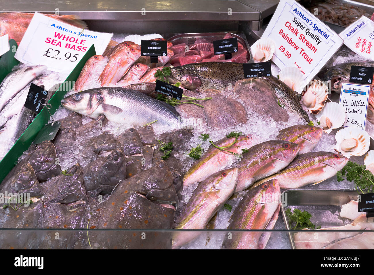 dh Fish Market CARDIFF WALES Fish sellers counter stall Welsh seafood fresh wet fish Stock Photo