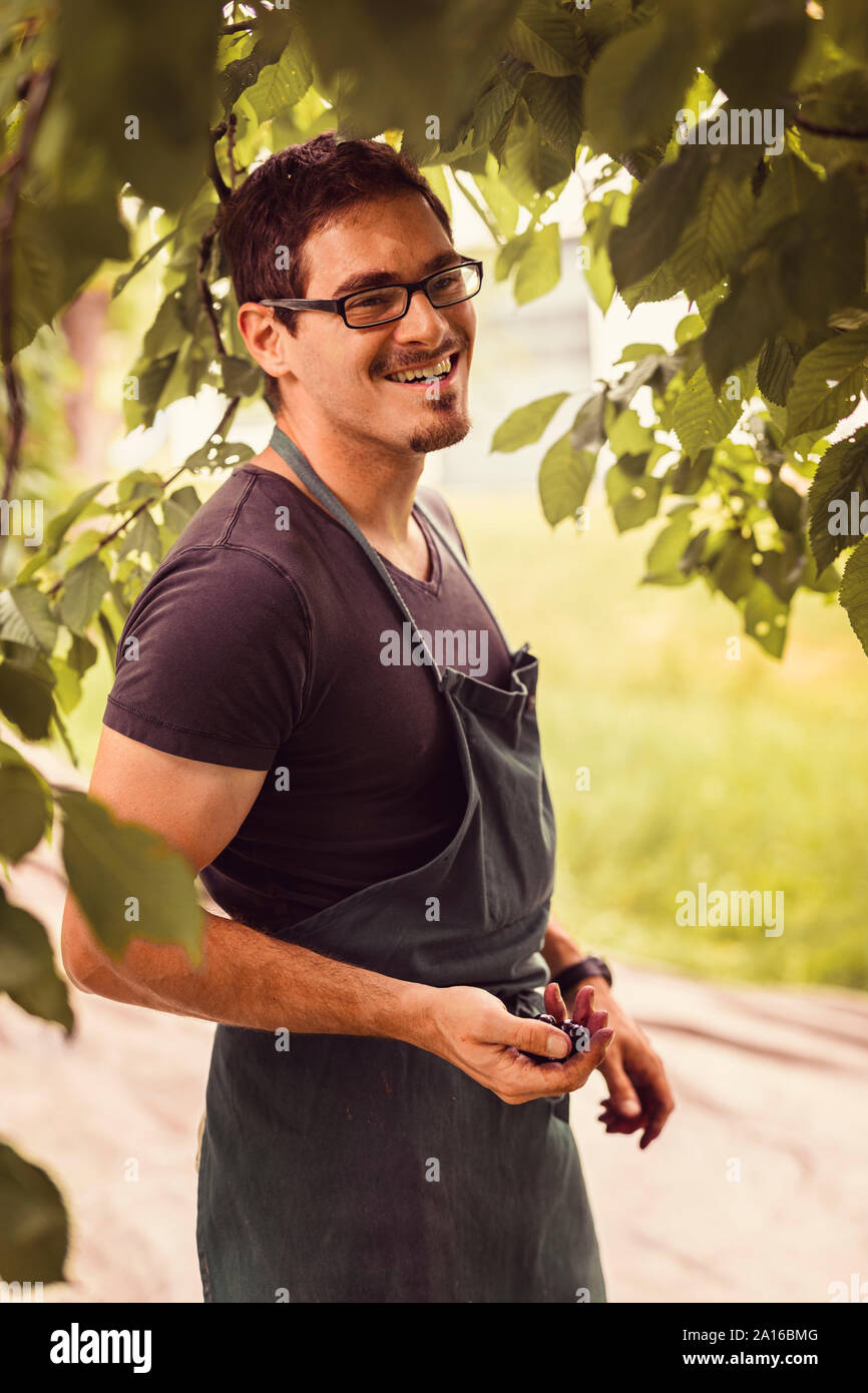 Portrait of smiling man during cherry harvest in orchard Stock Photo