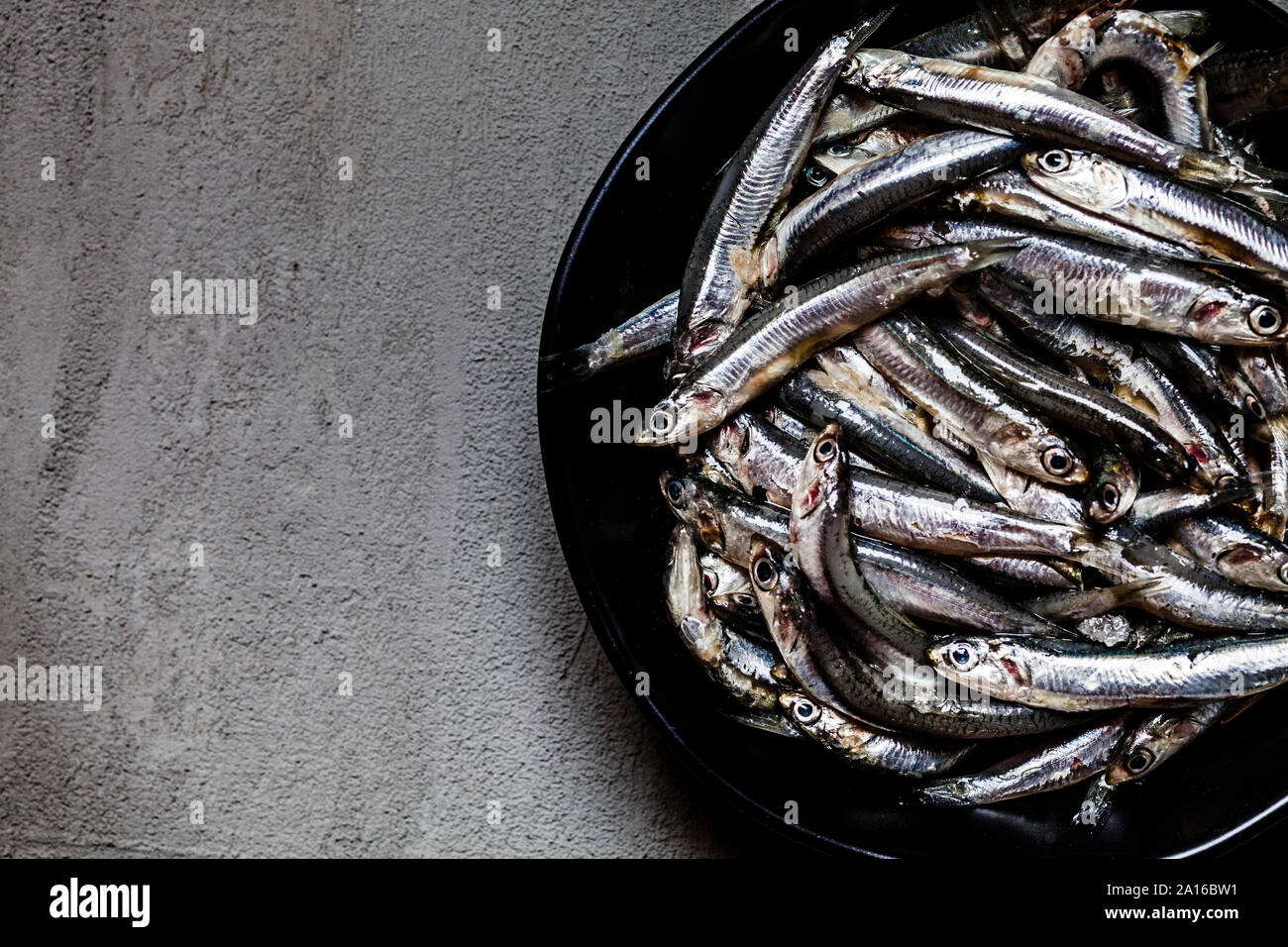 Close-up of fresh anchovies in bowl on concrete Stock Photo