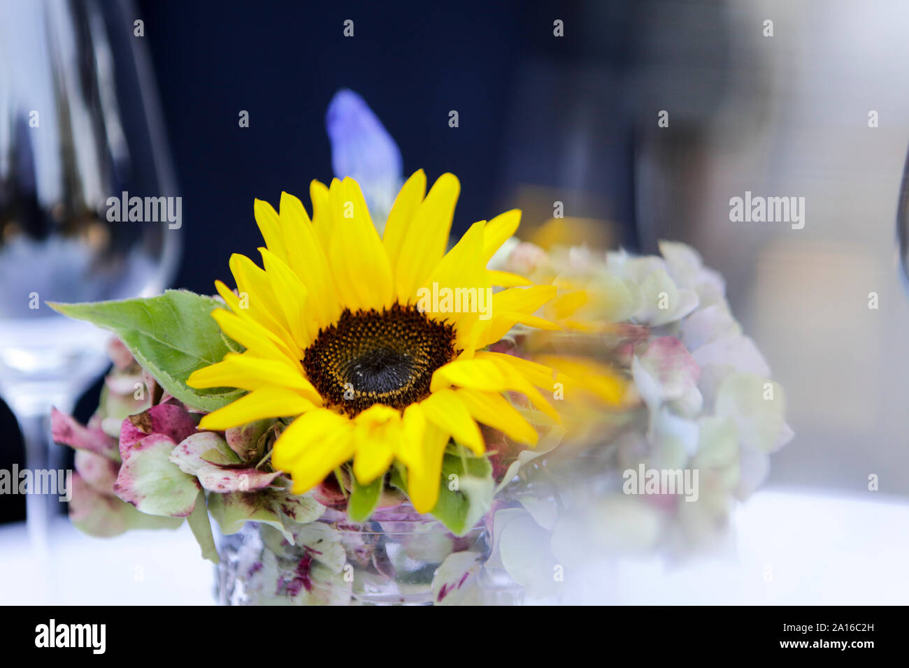 Gerbera daisy in glass at social gathering. Focus on foreground. Stock Photo