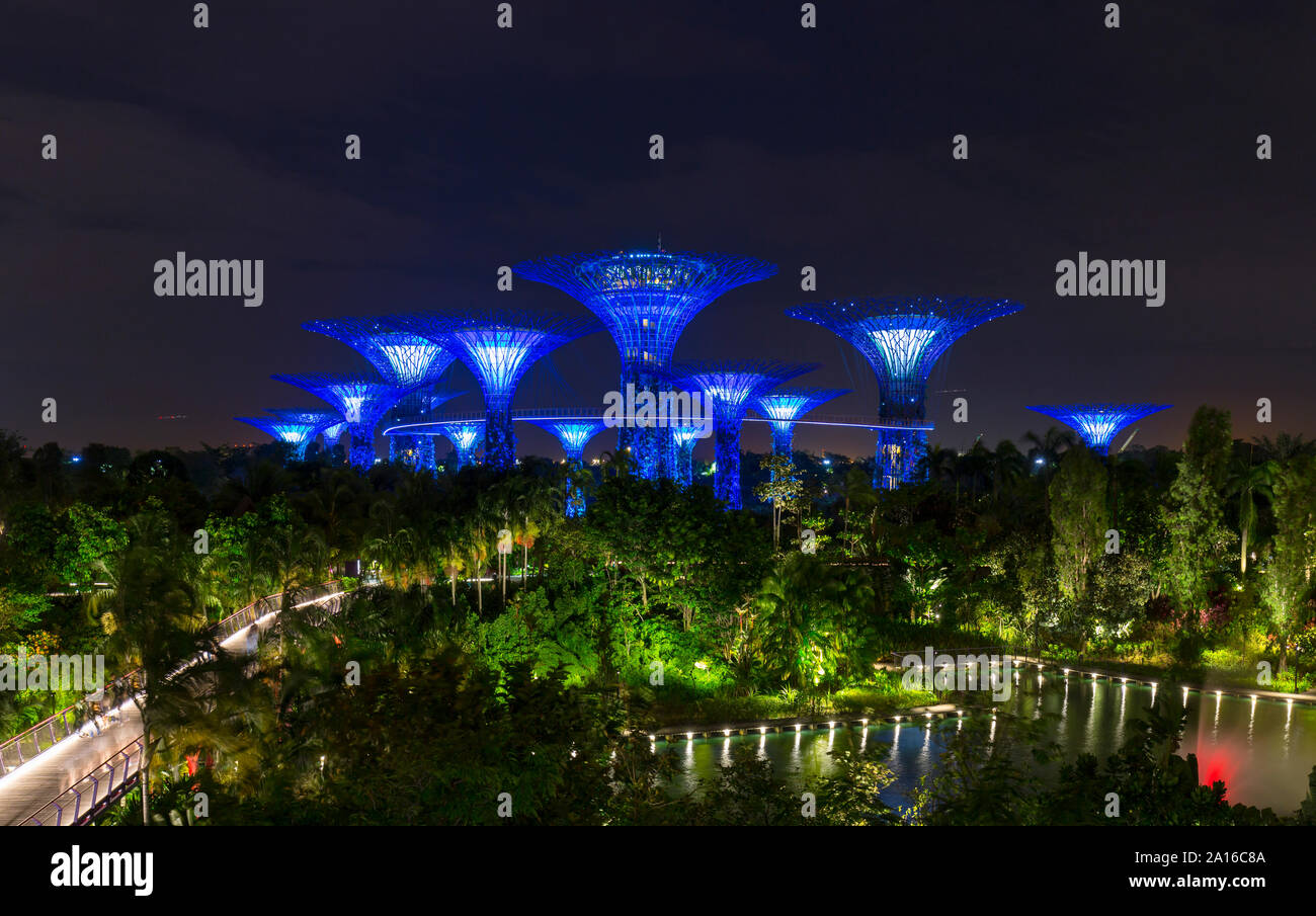 Gardens by the Bay with Supertree Grove and skywalk at night, Singapore Stock Photo
