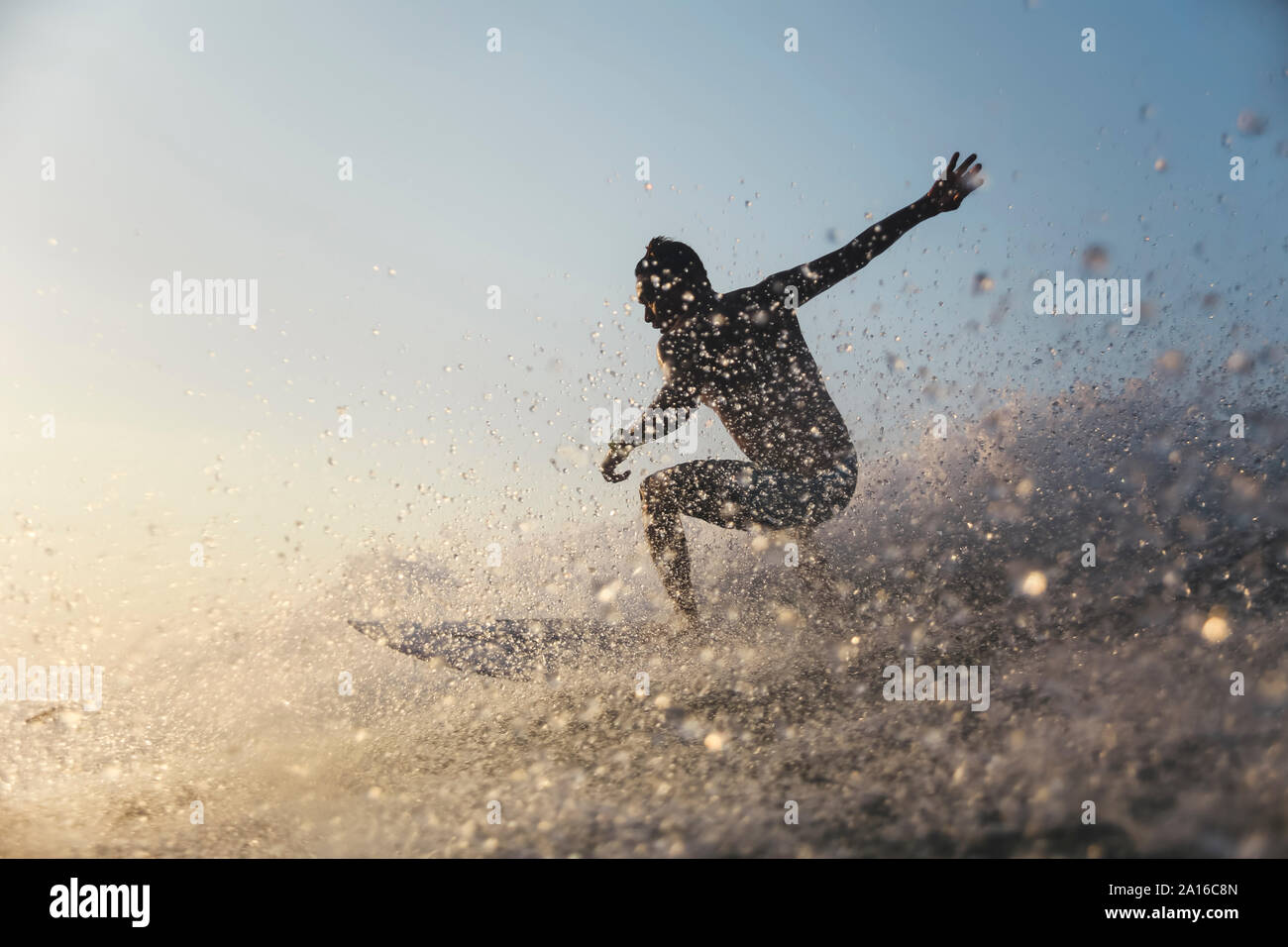Surfer on a wave Stock Photo