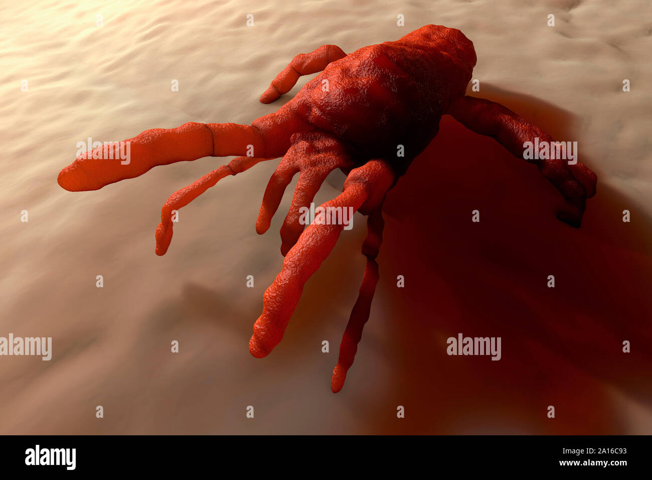 3D Rendered Illustration visualization of mite on skin Stock Photo