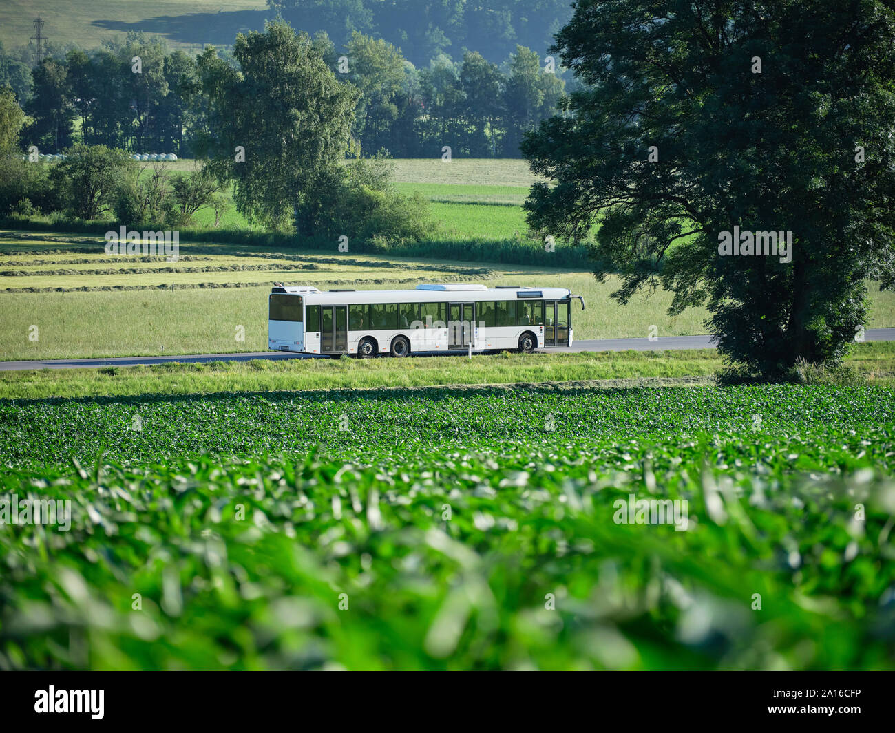 Bus moving on highway along green field Stock Photo