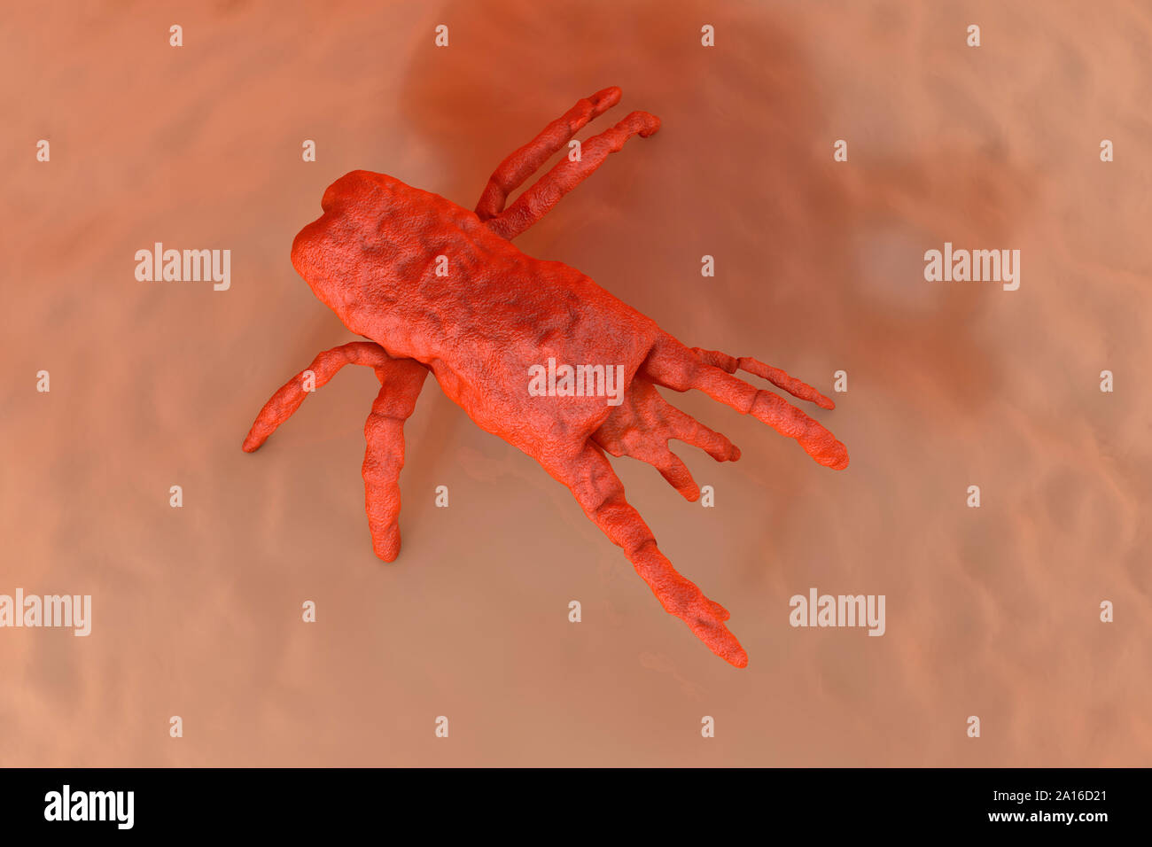 3D Rendered Illustration visualization of orange mite on skin Stock Photo