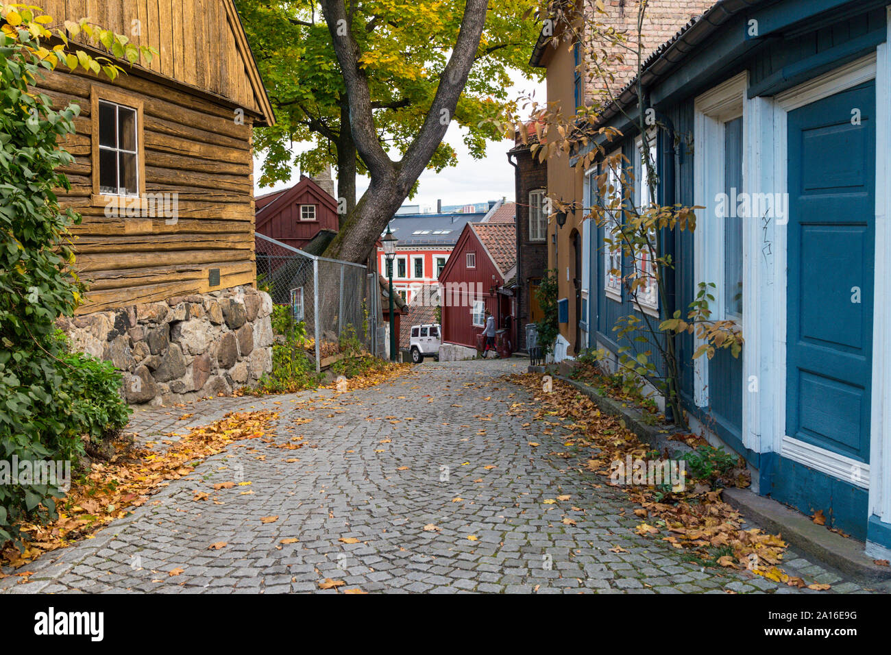 Traditional cobbled Oslo pedestrian street in autumn Stock Photo