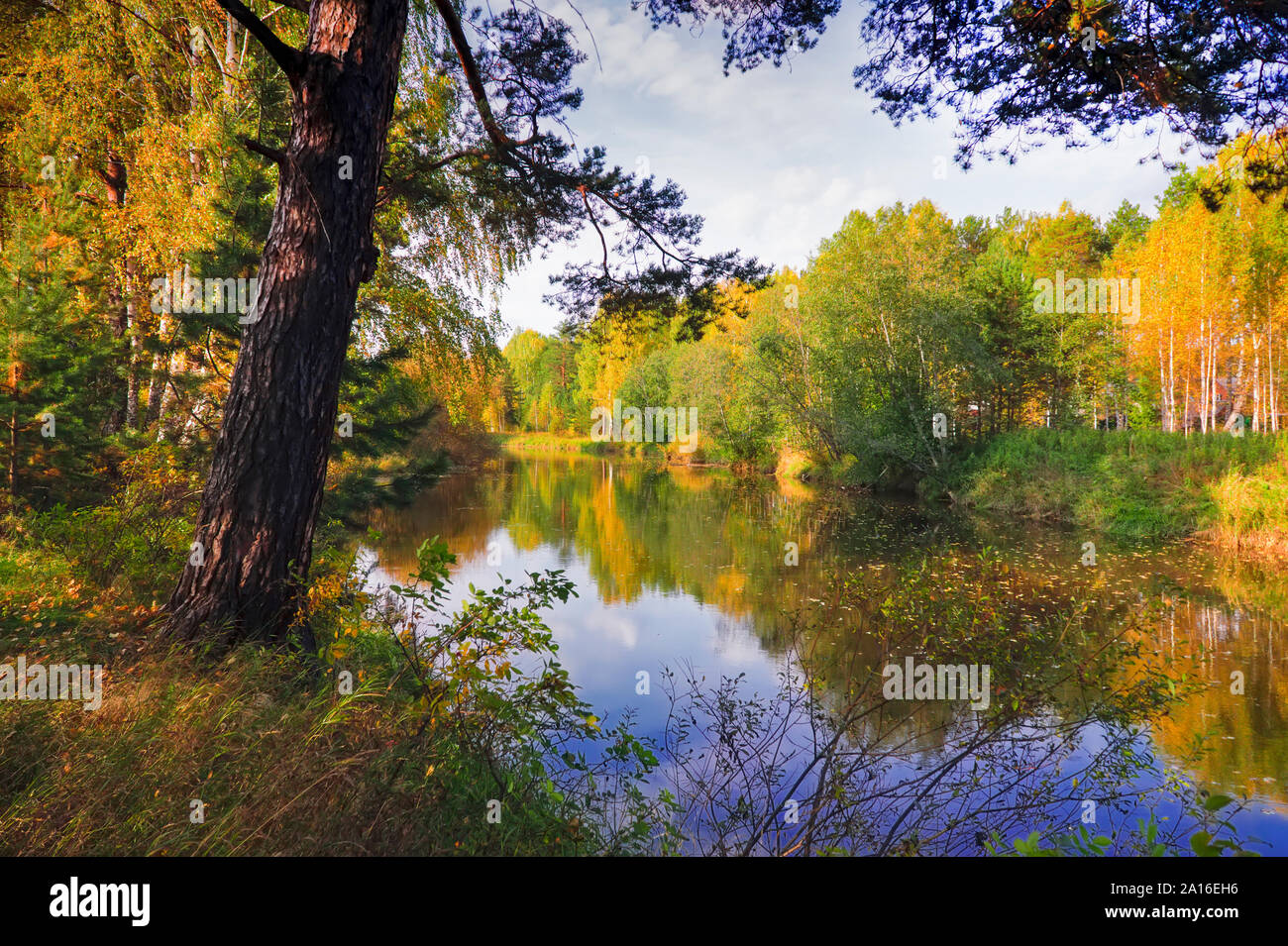 Autumn landscape on the banks of a forest river on a sunny warm day ...