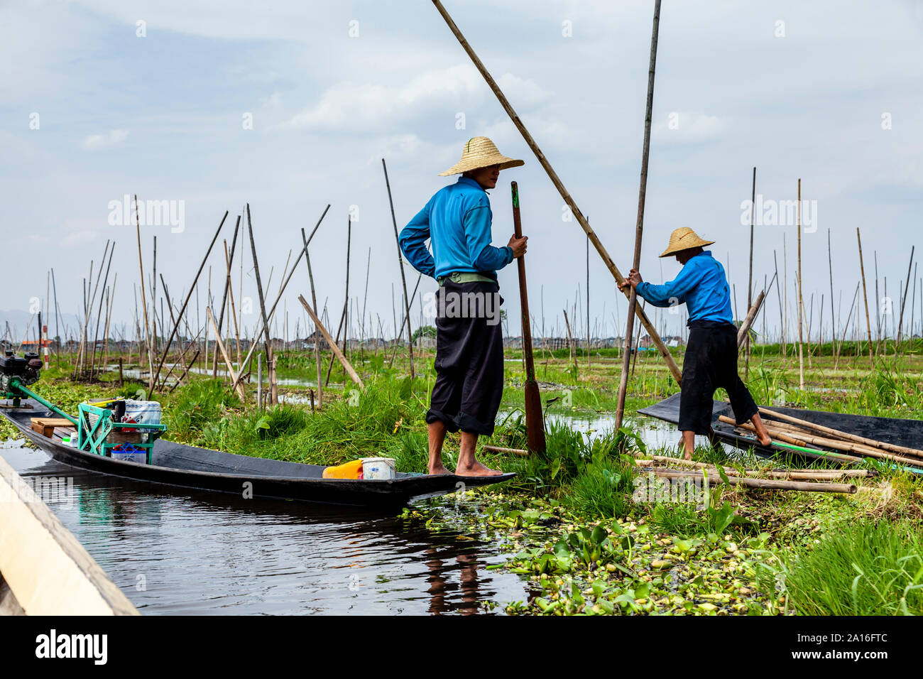 Floating Gardens, Lake Inle, Shan State, Myanmar Stock Photo Alamy