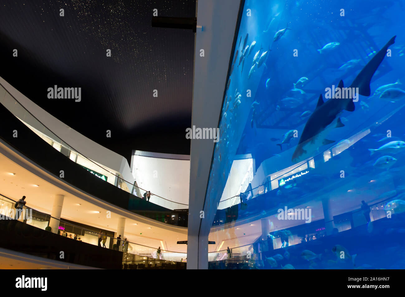 DUBAI - Visitors of the Dubai mall, the world's largest shopping center, in front of the aquarium. Stock Photo