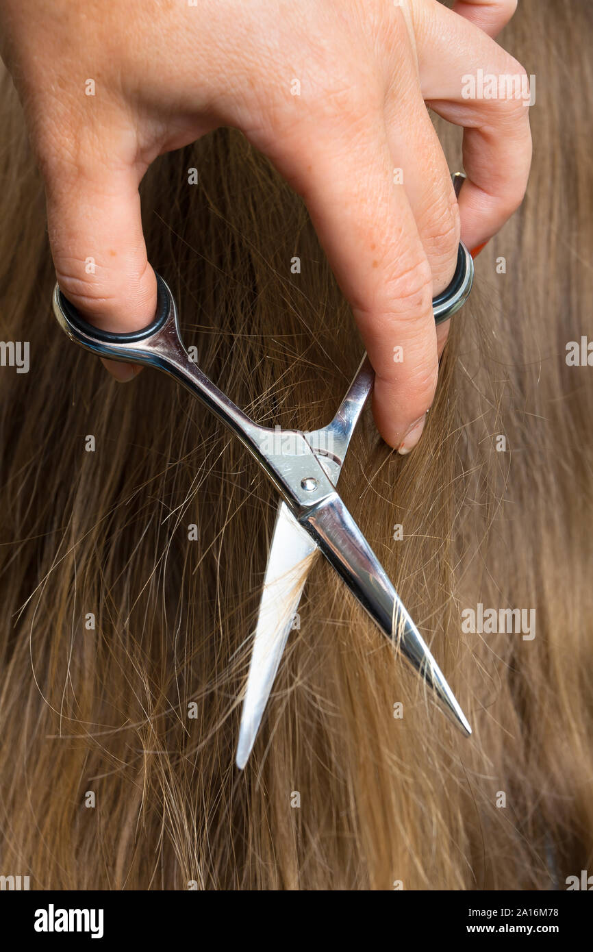 hands of hairdresser cutting hair with scissors, closeup Stock Photo