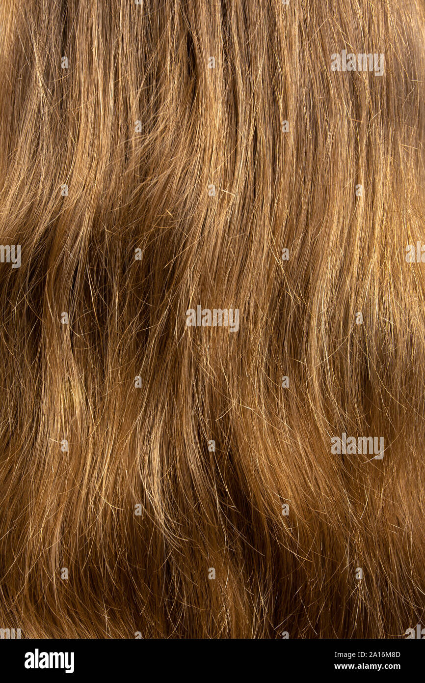 Long straight blond hair hi-res stock photography and images - Alamy