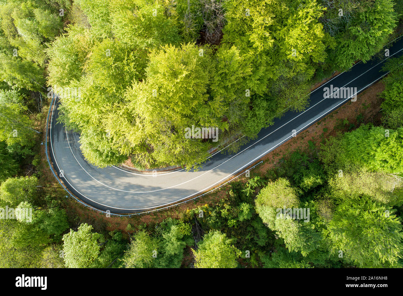 Aerial top view of road bend in the forest Stock Photo