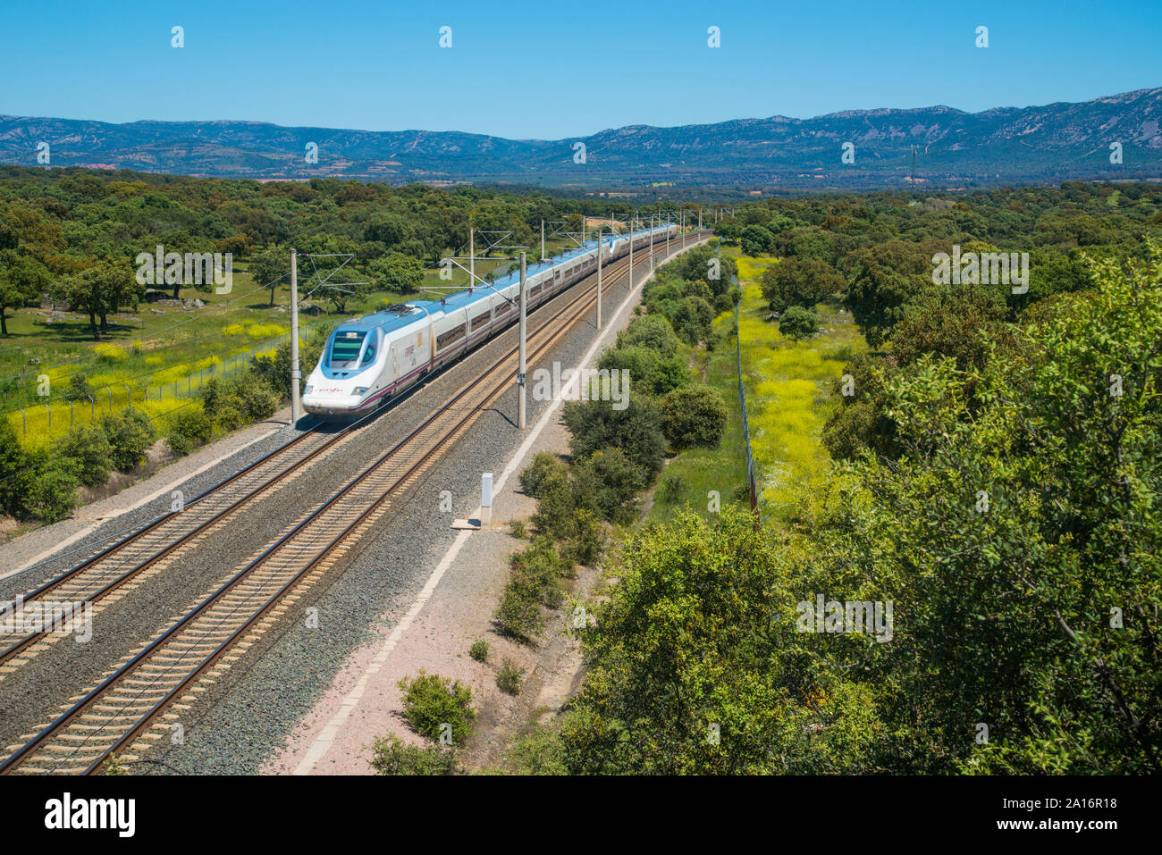 speed dating andalucia