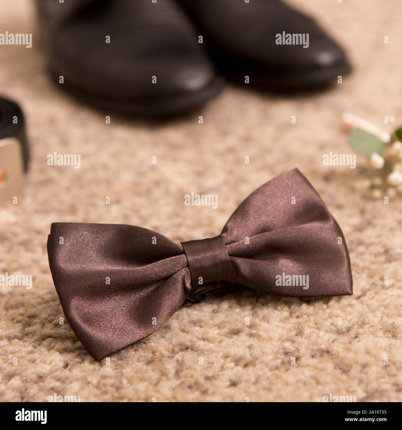 Close up of groom bow tie and man shoes on brown floor Stock Photo