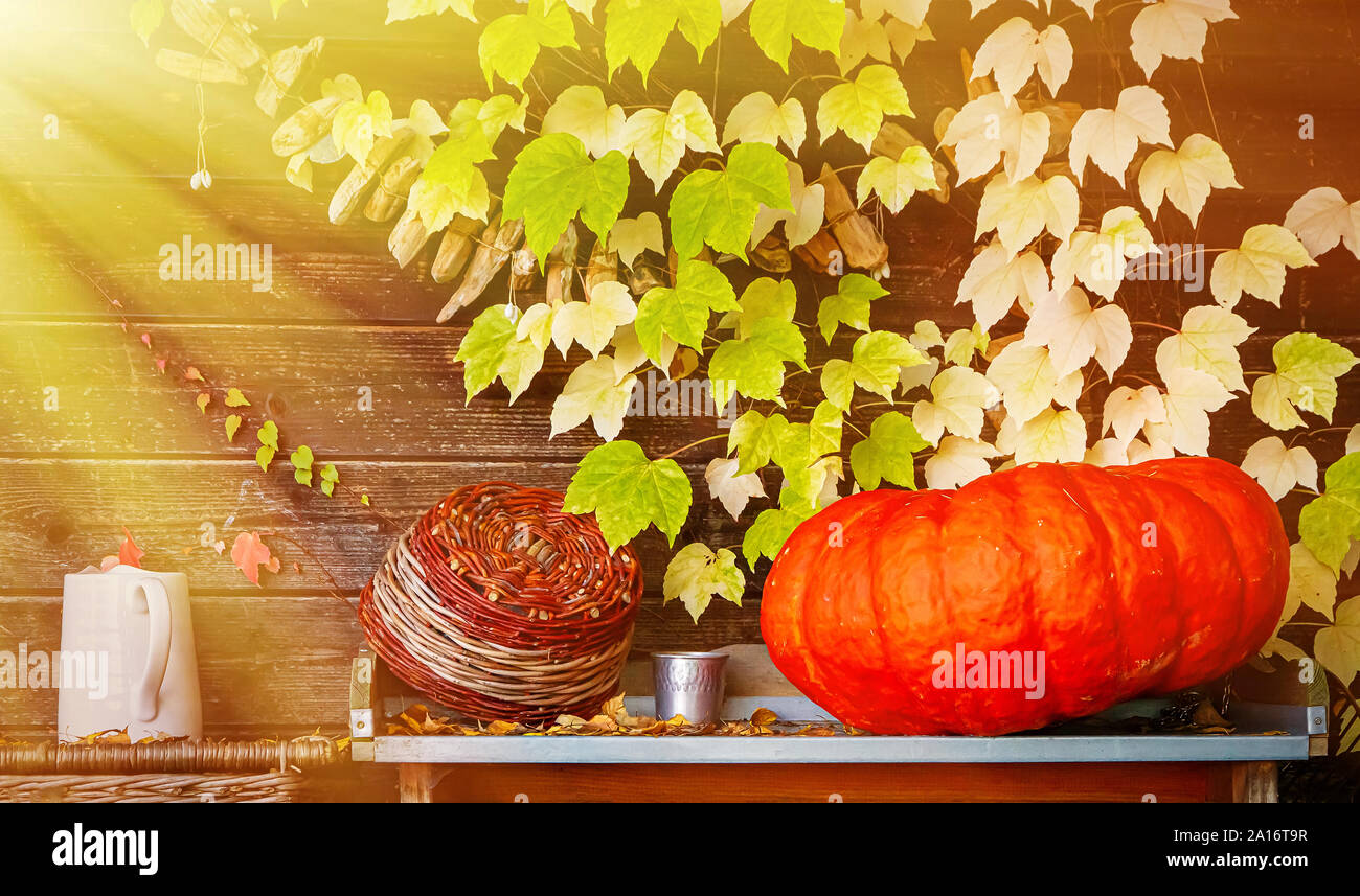 Colorful garden decoration with pumpkin in autumn Stock Photo