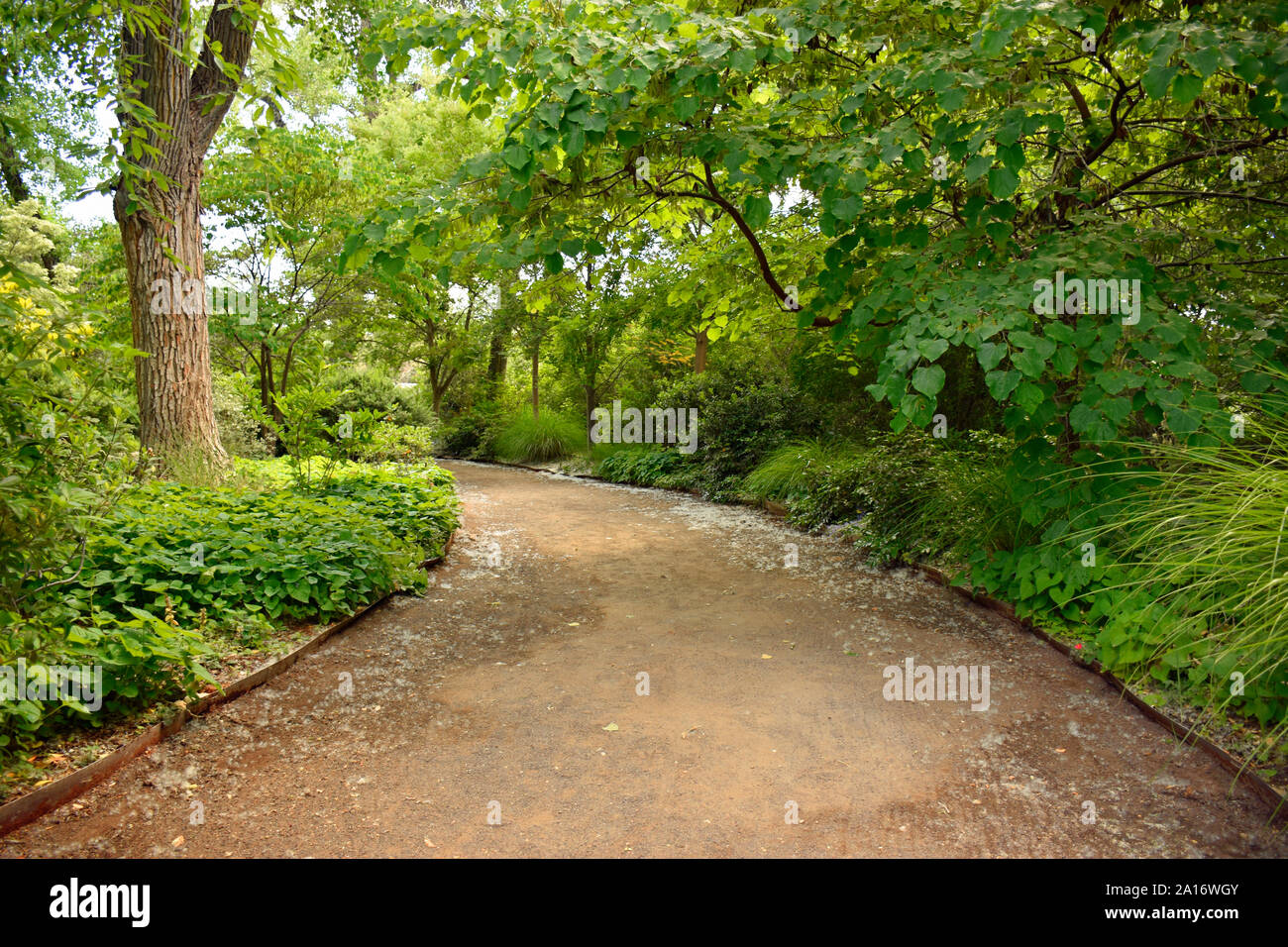 Sasebo Japanese Garden in late Summer in New Mexico Stock Photo