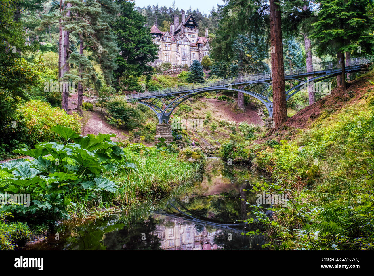 Rock garden and stream leading to Cragside House, Northumberland, UK