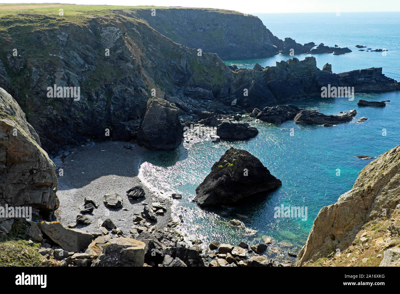 Atlantic grey baby seals & mothers Halichoerus grypus at Renny Slip near Martins Haven St Brides Bay in Pembrokeshire Wales UK  KATHY DEWITT Stock Photo