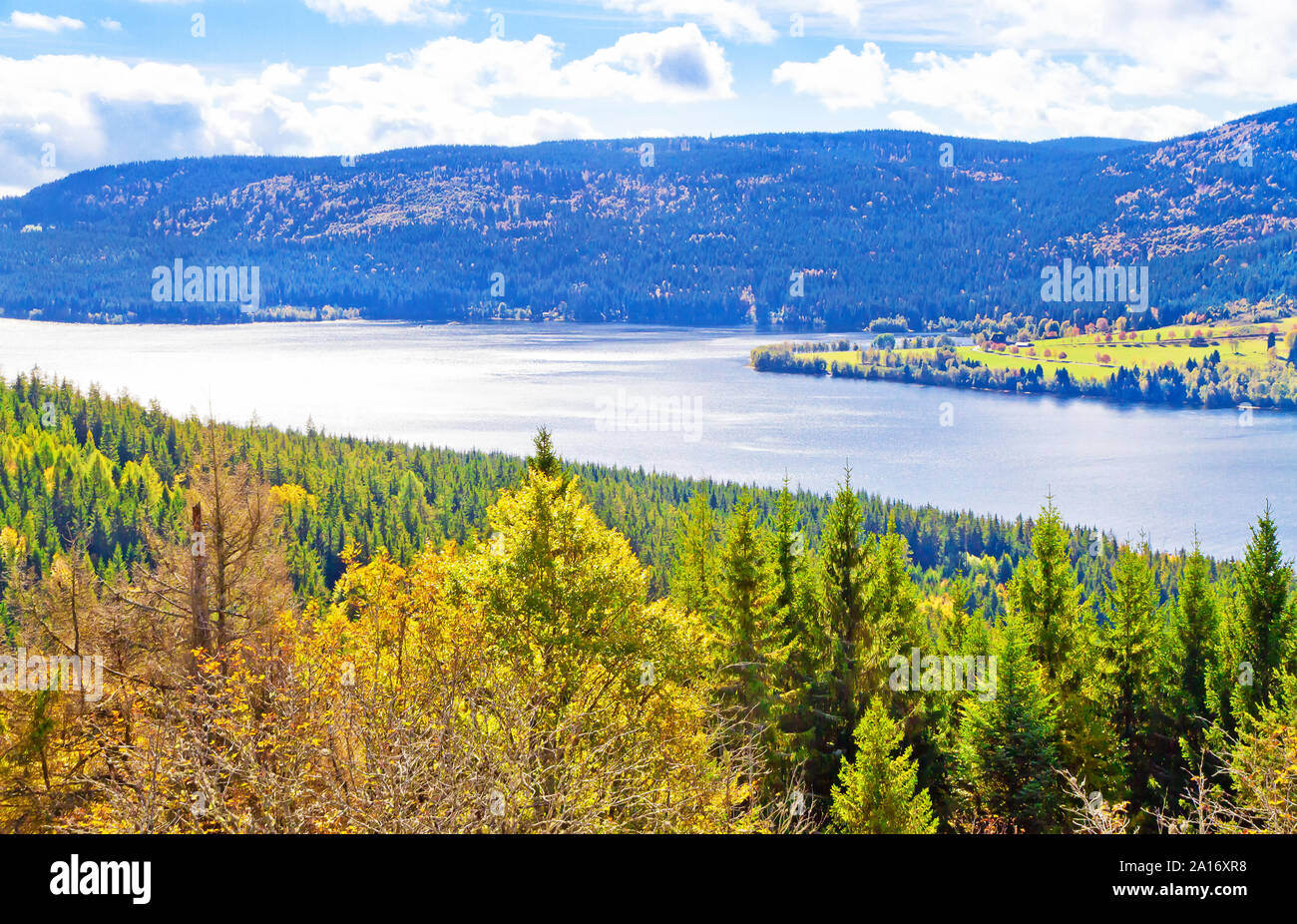 View on lake Schluchsee from mountain Bildstein, Black Forest, Schwarzwald Stock Photo