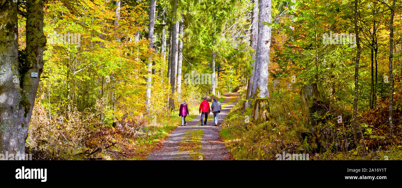 schwarzwald hiking