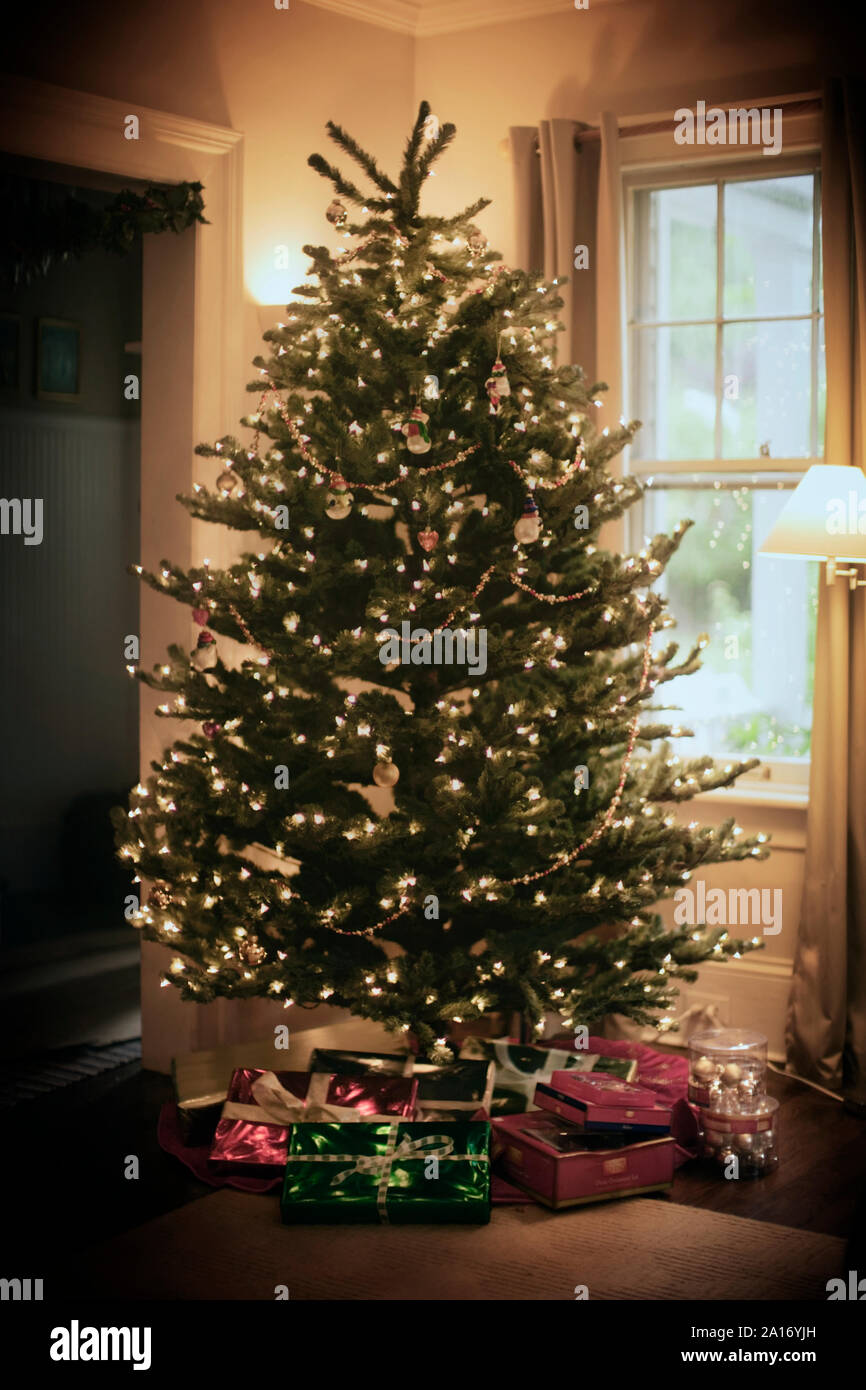 Vertically christmas tree lights hires stock photography and images