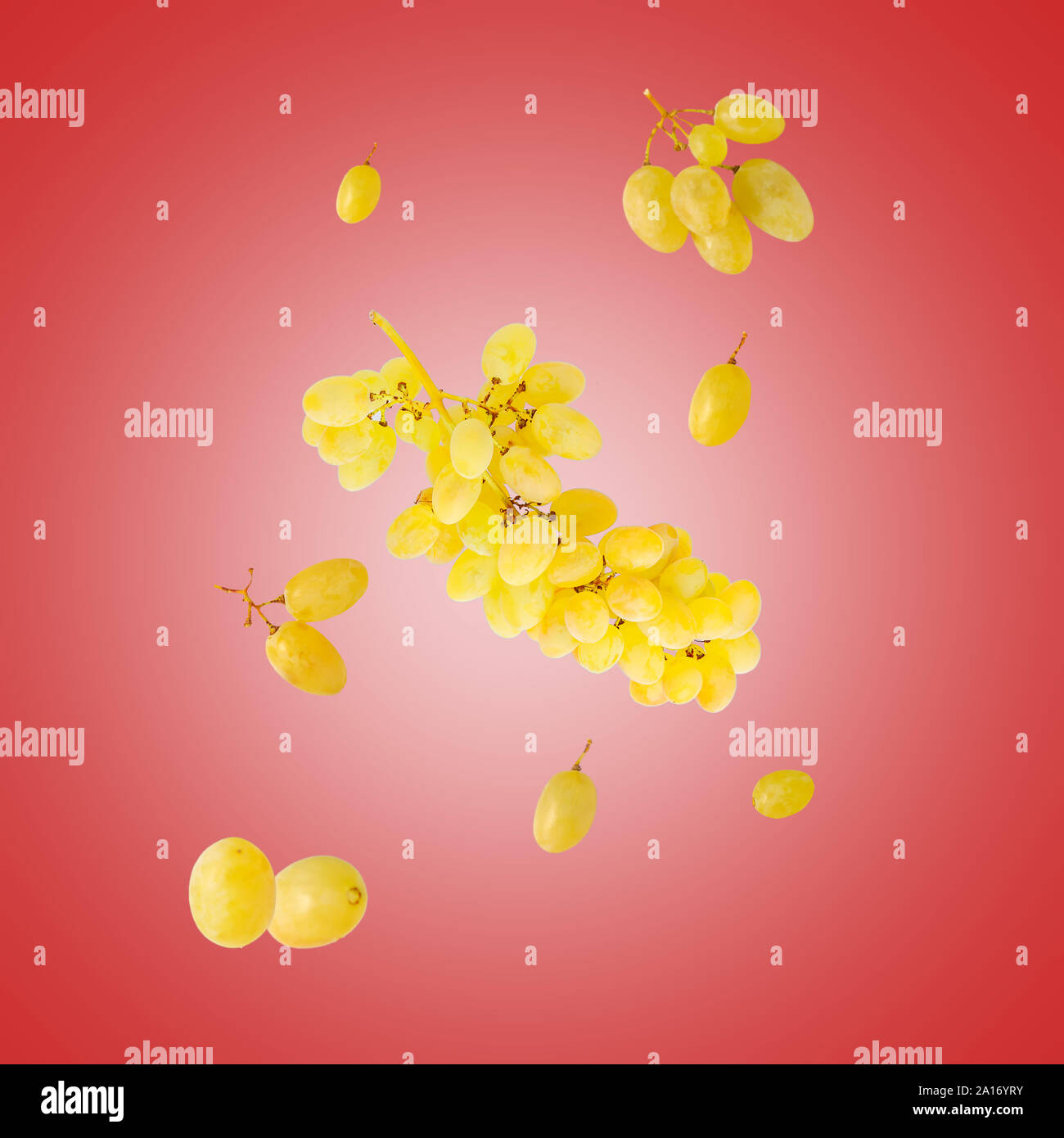 Fresh falling yellow grapes isolated on red background Stock Photo