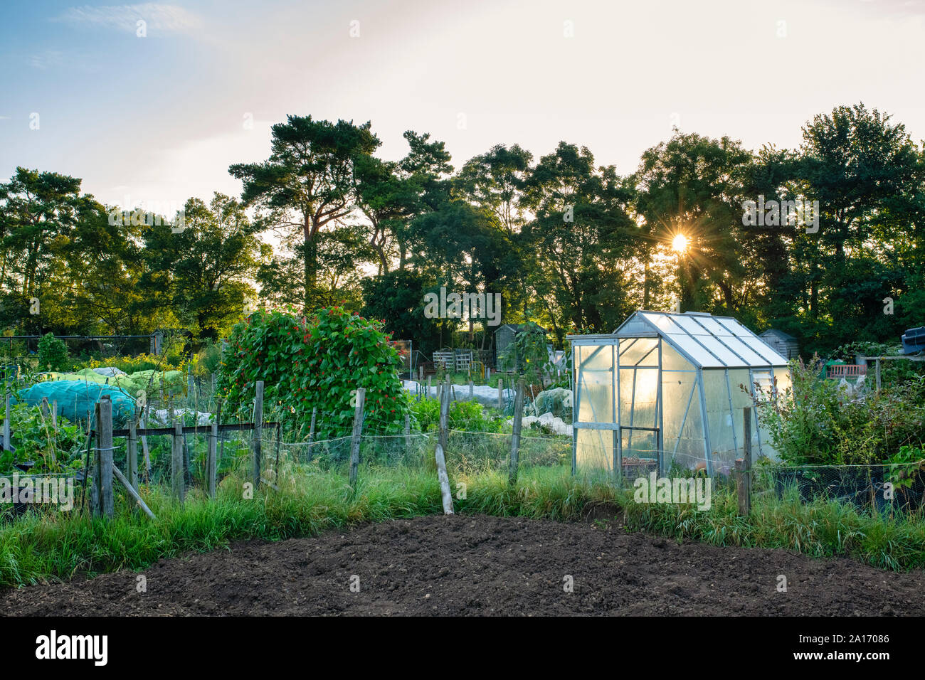 Allotments in the cotswold village of Bourton on the water, Cotswolds, Gloucestershire, England Stock Photo