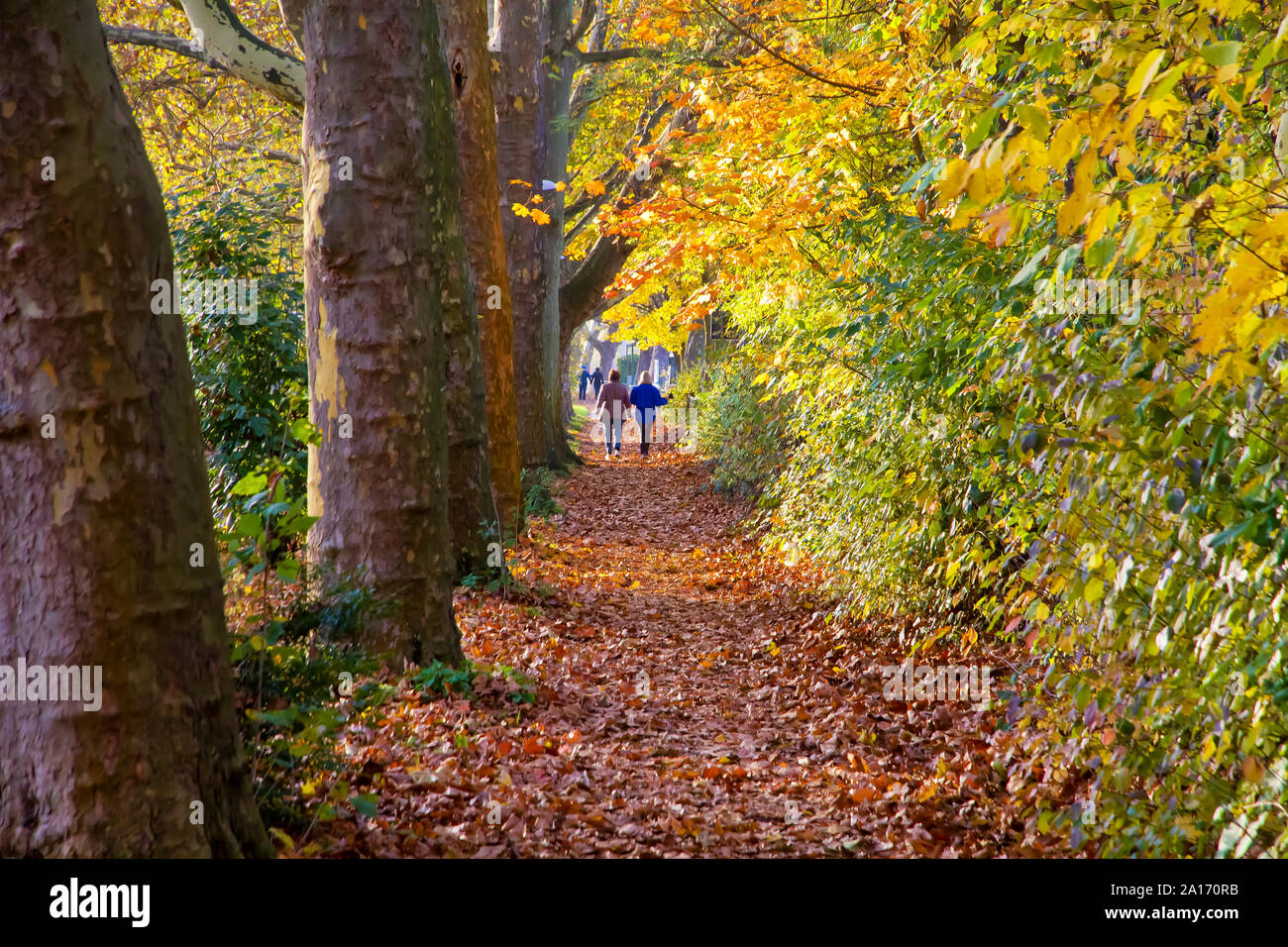 Stuttgart in Autum, Germany Stock Photo