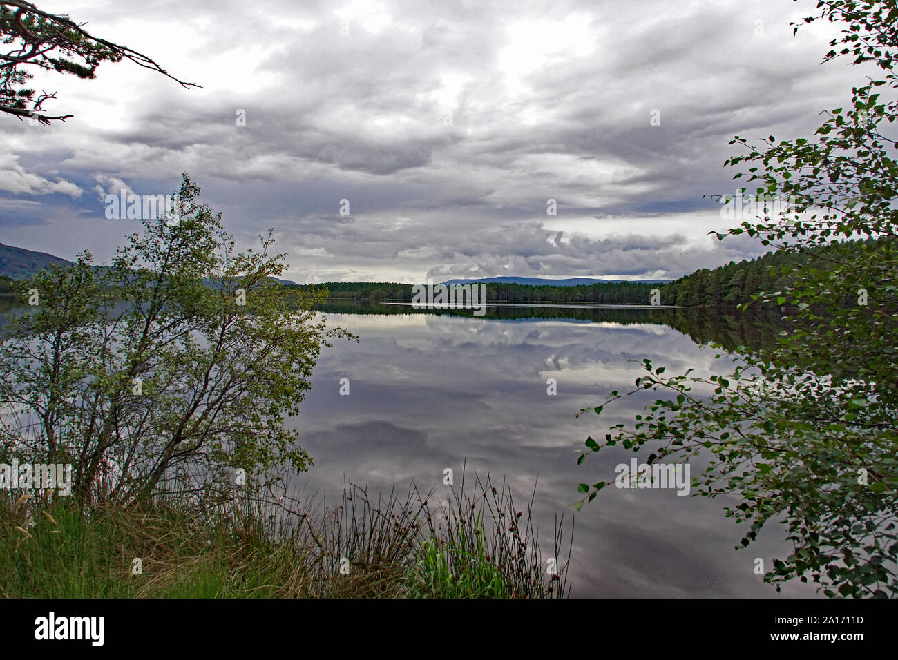 Loch Garten, Boat of Garten, Nethy Bridge, Scottish Highlands