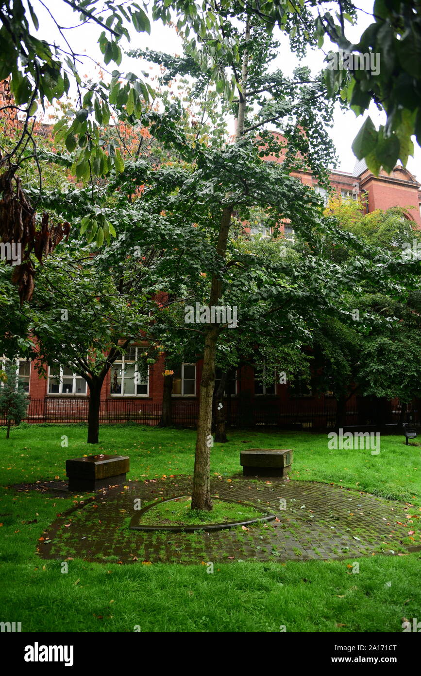 Tree of Life in Manchester Stock Photo Alamy