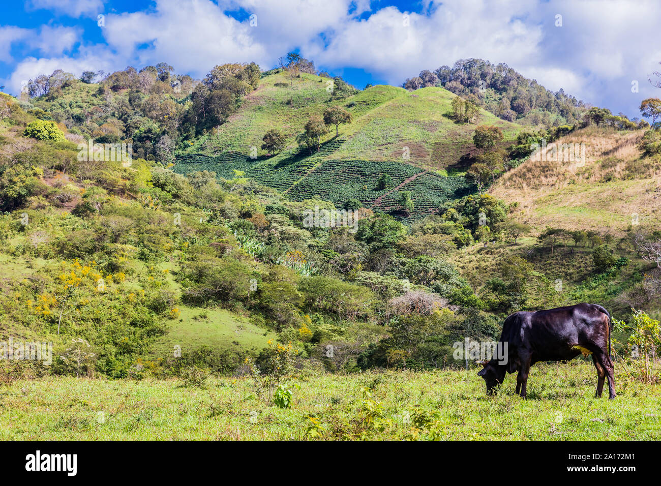 landscape of the Miraflor natural Reserve near  Esteli in Nicaragua Stock Photo