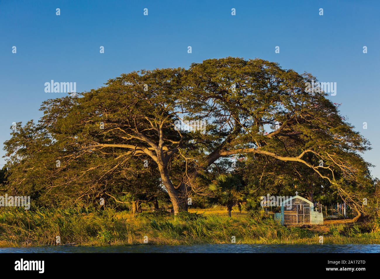 trees of las isletas de Granada Nicaragua lake Stock Photo