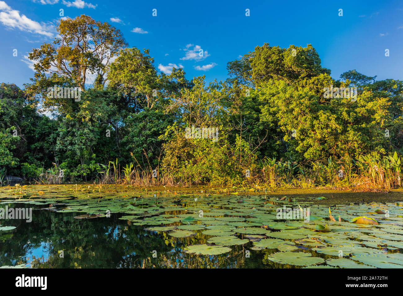 landscapes of las isletas de Granada Nicaragua lake Stock Photo