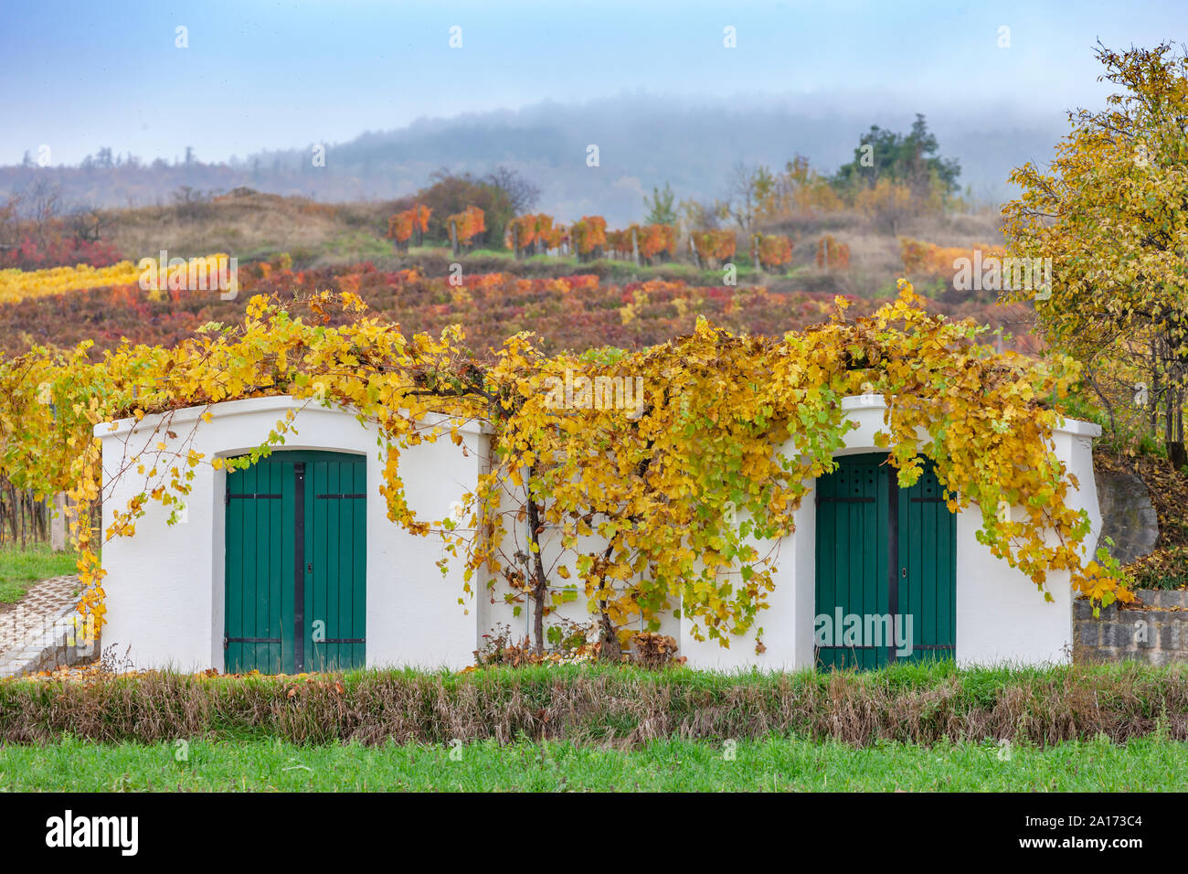 old cellars and autumn vineyards near Retz, Lower Austria, Austria Stock Photo