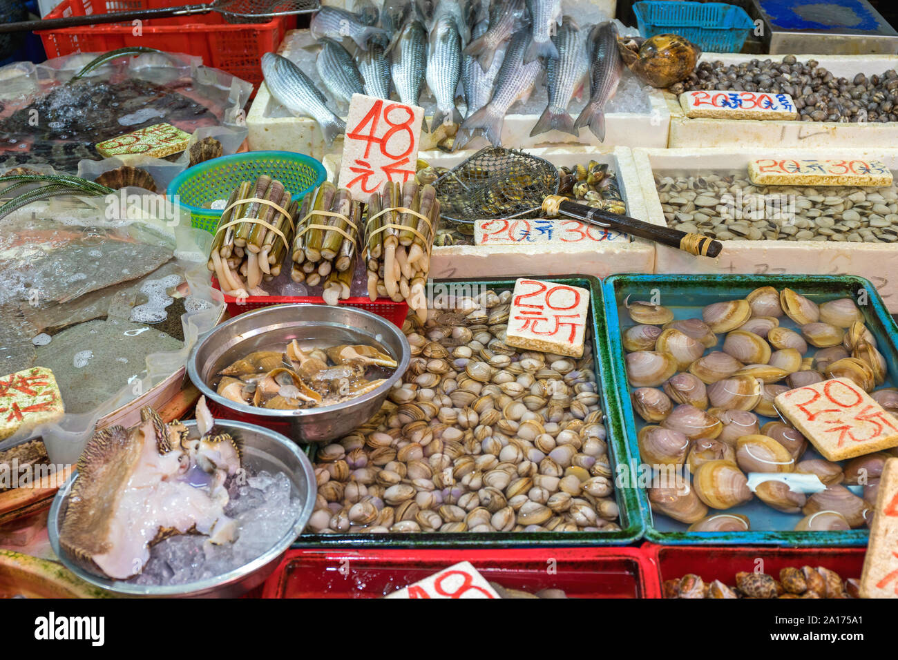 Frsh Live CLams Shells at Fish Market Stall Stock Photo